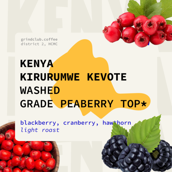 Cà phê Kenya Kirurumwe Kevote - Peaberry TOP - Washed